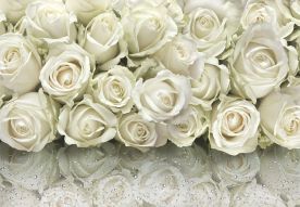 Фотообои 3D стена из белых роз