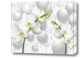 Картина Нежные белые орхидеи 3d