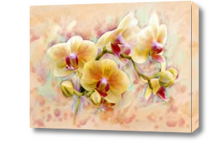 Картина Картина желтые орхидеи