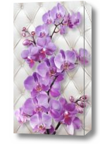 Картина 3D Ветви орхидеи на белом фоне