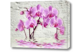 Картина 3д Орхидея на кирпичной стене